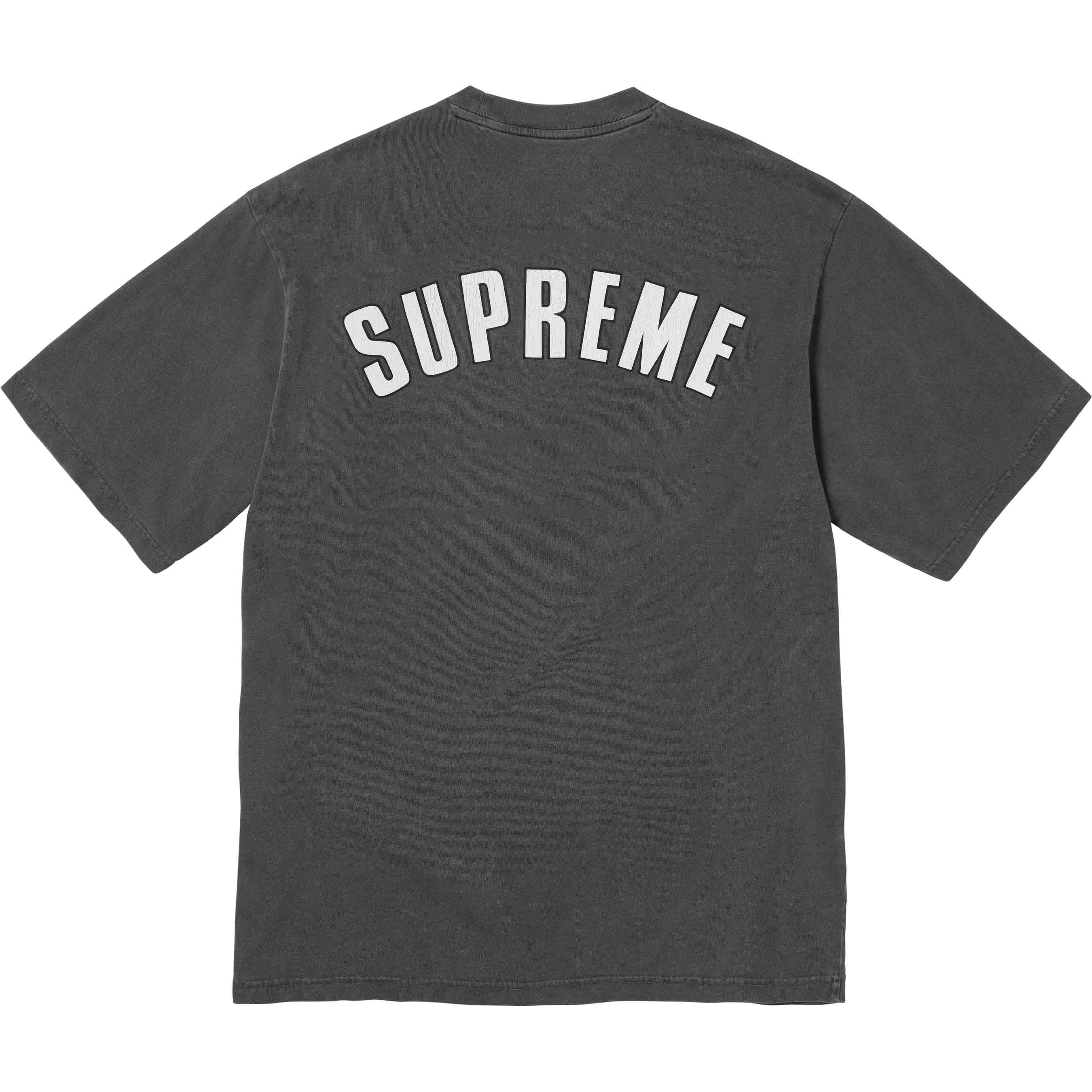 Cracked Arc S/S Top view 6